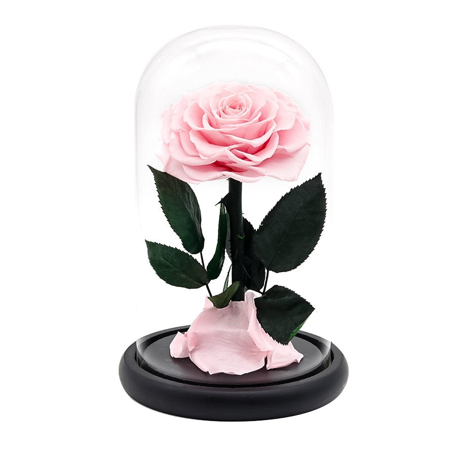 Long-Lasting Preserved Rose Bespoke Gift for Eid, Wedding & Business Occasions