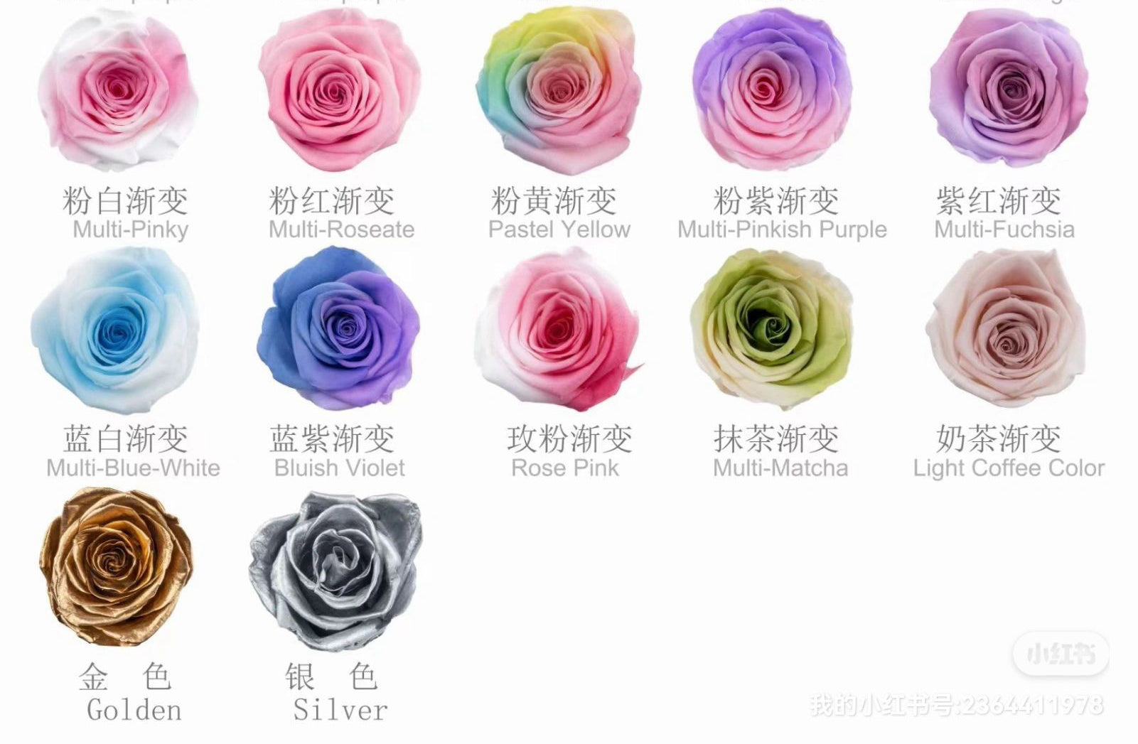 36 Color Luxury Preserved Rose Heads Eternal Flower for Eid Wedding Home Floral Decoration Wholesale