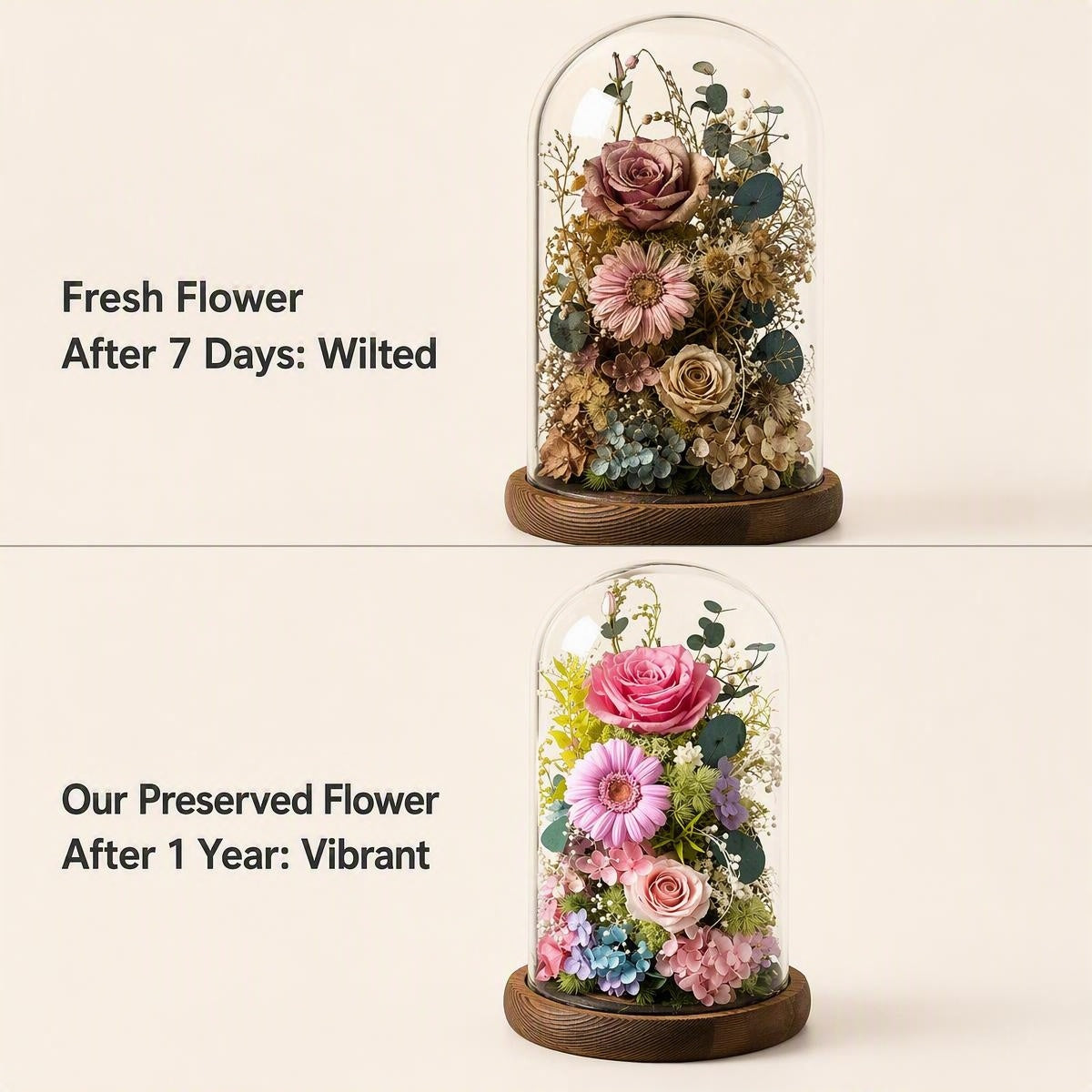 Preserved Flower Glass Dome with Eternal Rose, Luxury Everlasting Floral Home & Gift Decoration